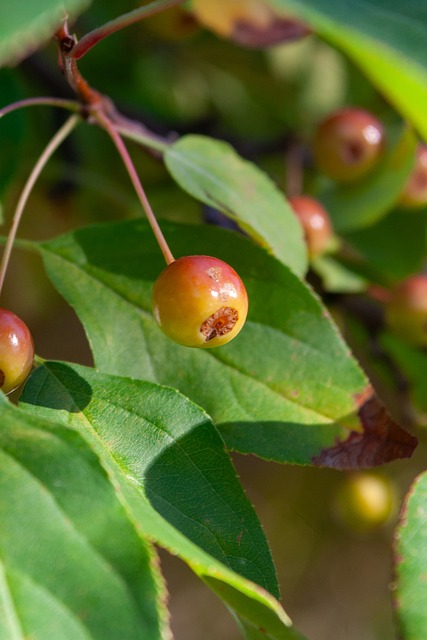 提升数据管 提升数据管