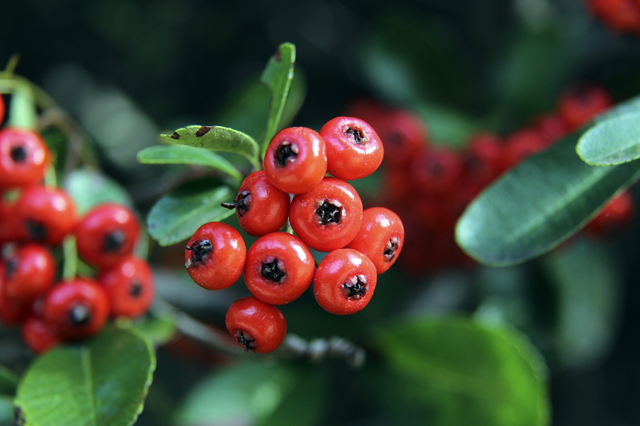 希望的新时 希望的新时