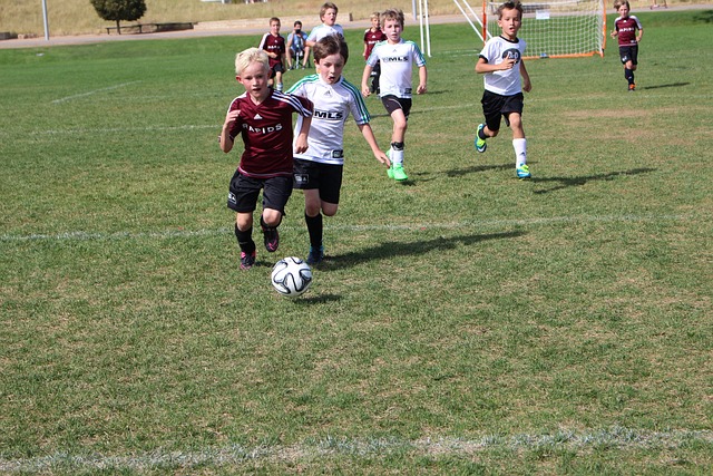 而塞维利亚 而塞维利亚