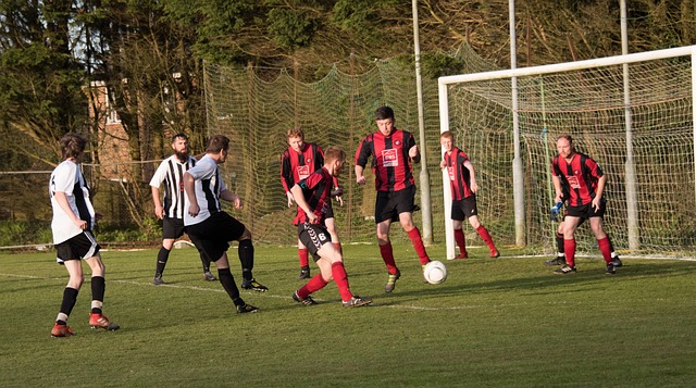 等方面贡献 等方面贡献