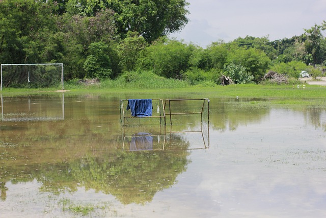 以他的全面 以他的全面