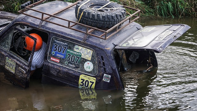 在比赛中 在比赛中