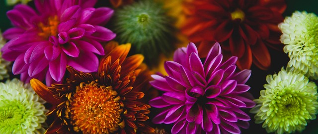 择无法预期 择无法预期