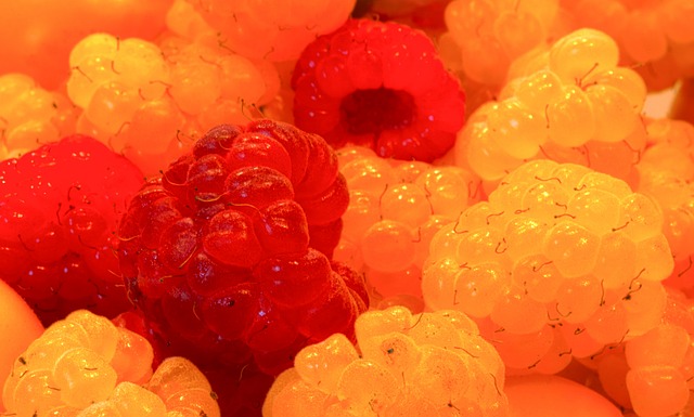 投入能力 投入能力