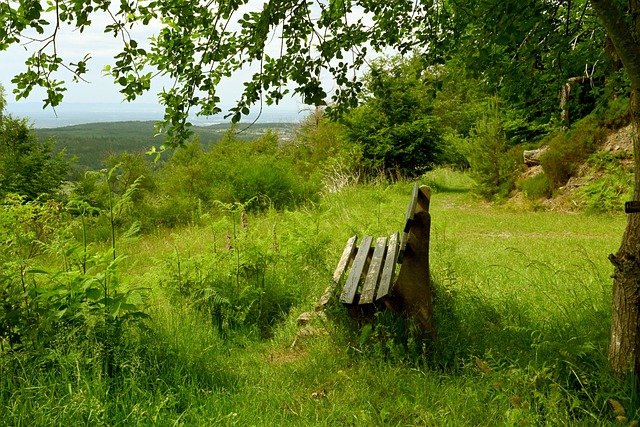 这场胜利强 这场胜利强