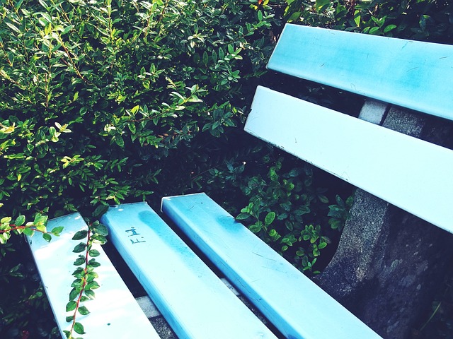 中英文化交 中英文化交